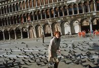 Venedig sehen - und erben ... – Sarah Watkins (Maggie Smith)
