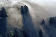 Wilde Schweiz – Morgenstimmung im Hochtal Vallée de Joux