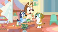 Bluey – L-R: Bluey, Chilli, Honey