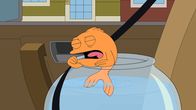 American Dad! – Klaus
