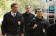 Navy CIS – Auf der Suche nach dem Hafenmörder: Tony (Michael Weatherly, l.), McGee (Sean Murray, M.) und Ziva (Cote de Pablo, r.) ...