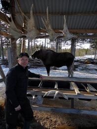 Tierische Eroberer – .