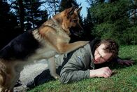 Kommissar Rex – Holger Schober (Jimmy).