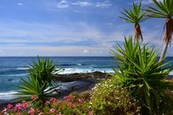 Die Kanarischen Inseln – Jardin beach in Puerto de la Cruz, Tenerife, Canary Islands