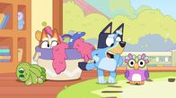 Bluey – Bluey (2019)