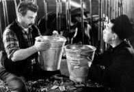 Don Camillo und Peppone – Manchmal müssen Don Camillo (Fernandel) und der grantige Peppone (Gino Cervi) eben doch zusammenarbeiten: zum Beispiel im Kuhstall.