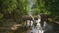 Chinas wildes Tierreich – Die Herde überquert den Fluss Sancha auf der Suche nach Nahrung (ZED)