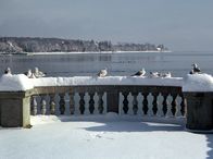 Winterreise an den Bodensee – Ballustrade bei Konstanz.