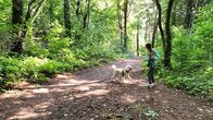 Lilli - Mein Leben mit Shira – Lilli übt mit Shira beim Gassigang im Wald, dass Shira mit einem Handzeichen zu Lilli kommt.
