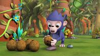 Wissper – Wissper - Das Vertrauens- Spiel - Affe Boris war eine Zeit lang bei anderen Affen zu Besuch und hat von diesen viel neues gelernt. Zuhause will er den anderen dann einiges davon beibringen, doch seine Freunde Frankie und Alfie wollen jedoch nichts davon kennenlernen. Wissper bittet Erdmännchen Monty um Hilfe und der bringt diesen nun bei, wie man mit dem "Vertrauens-Spiel" lernt, einander zu vertrauen und keine Angst vor etwas Neuem zu haben, sondern es mal erst auszuprobieren. Foto: ORF/STUDIO 100 MEDIA. Veröffentlichung honorarfrei nur für redaktionelle Berichterstattung in Sendungszusammenhang und mit Copyrightangabe. Kontakt: foto@orf.at