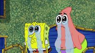 SpongeBob Schwammkopf – L-R: SpongeBob, Patrick