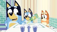 Bluey – L-R: Bandit, Bluey, Chilli