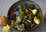 Koch's anders – Der Wildpflanzensalat von Uli Hergert.