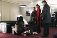 Castle – Der berühmte Hundetrainer Francisco Pilar (Ed Francis Martin, 2.v.l.) wird nach einer Hundeshow, an der er als Juror teilgenommen hat, tot in seiner Garderobe aufgefunden. Lanie Parish (Tamala Jones, l.), Javier Esposito (Jon Huertas, M.), Kate Beckett (Stana Katic, 2.v.r.) und Richard Castle (Nathan Fillion, r.) untersuchen den Tatort ...