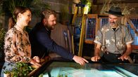 Virtual Designs - Unser Traumgarten wird real – So, 27.07., 00:55 Uhr