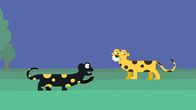 Animanimals – Der Feuersalamander macht den Leoparden auf ihre Ähnlichkeit aufmerksam.