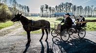 Das Leben der Amish – Amish