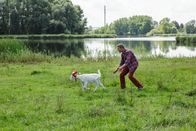 Löwenzahn – So, 02.11., 08:10 Uhr