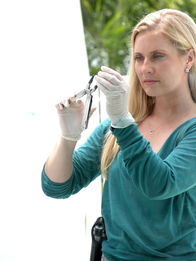 CSI: Miami – CSI: Miami (2004)