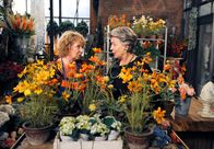 Rote Rosen – ARD ROTE ROSEN FOLGE 1858 Uhr im ERSTEN. Erika (Madeleine Lierck-Wien, l.) und Inge (Peggy Lukac, r.) sind uneins, wie sie das Aktiengeld vermehren wollen.