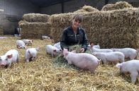 Re: – In Gabriele Mörixmanns „Aktivstall für Schweine“ haben die Tiere mehr Platz als selbst in der höchsten Haltungsstufe vorgeschrieben.