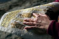 360° - Geo-Reportage – Muschelseide ist der gereinigte und gekämmte Faserbart der Edlen Steckmuschel, der größten Muschel des Mittelmeers.