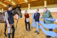 Die Rosenheim-Cops – Die Kommissare Hofer (Joseph Hannesschläger, r.) und Bach (Patrick Kalupa, 2.v.r.) befragen Markus Köhler (Philip Dechamps, l.) und Evi Ahrens (Siri Nase, 2.v.l.) zum Tod des Gestütsbesitzers.