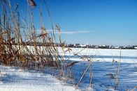 Magische Weihnachten – Winterlandschaft in Drösing.