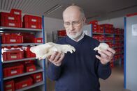 Terra X Harald Lesch – Harald Lesch vergleicht einen Wolfsschädel mit dem eines Yorkshire Terriers. Kaum vorstellbar, dass diese Hunderasse vom Wolf abstammt.