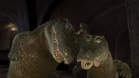 Tierisch wild – Stan and Carmine the Alligators