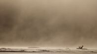 Natur macht Geschichte – Die größte Umweltkatastrophe in der Geschichte der USA war ein Staubsturm. Der sogenannte "Dust Bowl" veränderte die Geschichte des Landes.