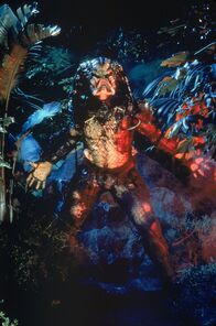 Predator – Blutgierig, unsichtbar und mächtig: der Predator (Kevin Peter Hall) ...