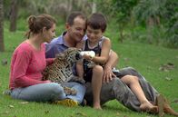 Eine wilde Familie – Mi, 29.10., 17:20 Uhr