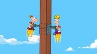 Phineas und Ferb – PHINEAS, FERB