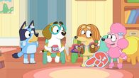 Bluey – L-R: Bluey, Honey, Chilli, Indy, Coco