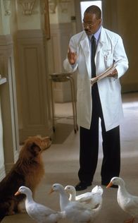 Dr. Dolittle 2 – Dr. Dolittle 2 (2001)