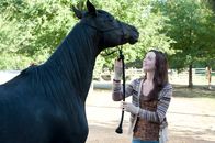 Flicka 3 - Beste Freunde – Zwischen Flicka und Kelly (Kacey Rohl) entsteht eine innige Freundschaft. Sie will ihn trainieren, um den bevorstehende Reitwettbewerb zu gewinnen ...