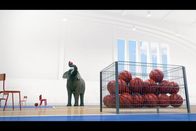 Athleticus – Ein Elefant räumt eine leere Turnhalle auf. Sein heimlicher Traum: selbst Basketball-Champion zu sein ...