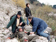 Tatort – Tatort (1997)