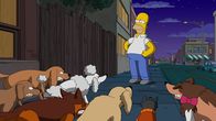 Die Simpsons – Die Simpsons (2017)