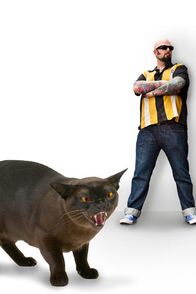 Der Katzenflüsterer – Fr, 28.08., 06:00 Uhr