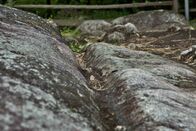 Faszination Heimat – Ohne die Elemente Feuer, Wasser, Erde und Luft wäre das Leben auf der Erde nicht möglich. Besonders in den Alpen haben die Wirkungsmächte ihre Spuren hinterlassen und eine eindrucksvolle Landschaft und Natur geformt. Doch was bedeutet es im Einklang mit den Naturgewalten zu leben? Die n-tv Dokumentationsreihe zeigt die eindrucksvolle Bergwelt der Alpen und erklärt, wie das Leben und die Kultur der Alpenbewohner durch die Kräfte der Natur bestimmt wird