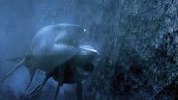 Mega Shark vs. Mecha Shark – Militärwissenschaftlerin Rosie Gray hat viele der Schwächen der neuartigen Maschine noch nicht rechtzeitig ausmerzen können, was sich der Mega Shark schon bald zu Nutze macht.