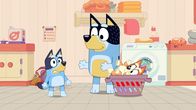 Bluey – L-R: Bluey, Bandit, Bingo
