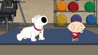 Family Guy – Brian Griffin (l.); Stewie Griffin (r.)
