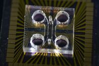 P.M. Wissen – Biochip im Test
