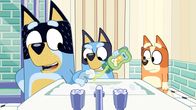 Bluey – L-R: Bandit, Bluey, Chilli