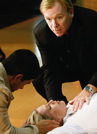 CSI: Miami – CSI: Miami (2010)