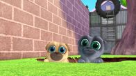 Welpen Freunde – L-R: Rolly, Bingo