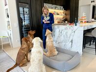 Tierische Augenblicke – „Zahnpflege“ Katharina Miklauz von DOG’S LOVE erklärt Zahnpflege bei Hunden.